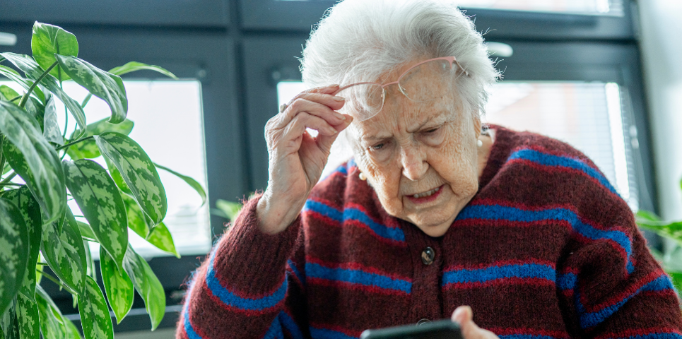 Person using a mobile phone indoors, with a houseplant and windows in the background.